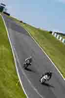 Advanced Group White Bikes